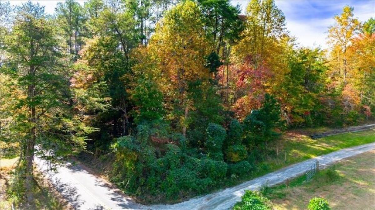 Picture of Residential Land For Sale in Pickens, South Carolina, United States