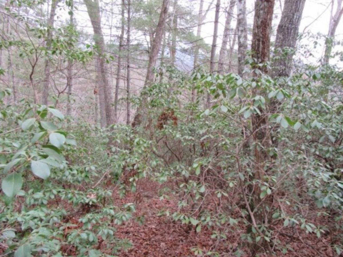 Picture of Residential Land For Sale in Pickens, South Carolina, United States