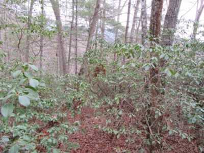 Residential Land For Sale in Pickens, South Carolina