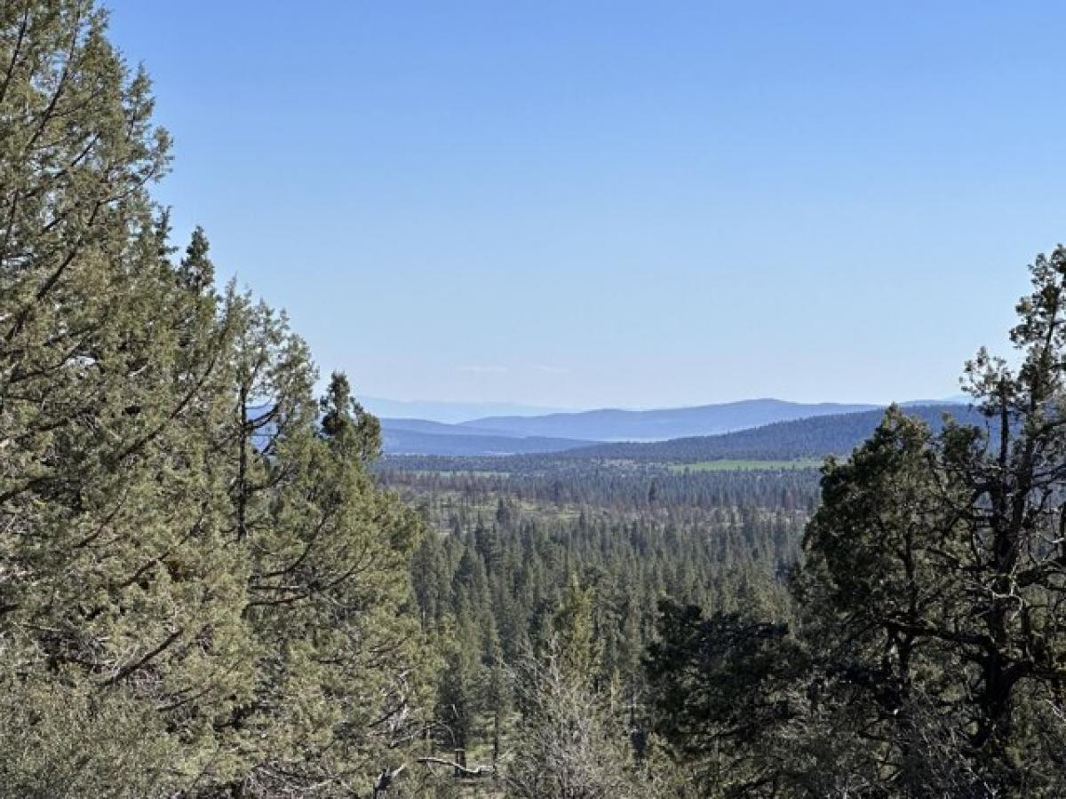 Picture of Residential Land For Sale in Bonanza, Oregon, United States