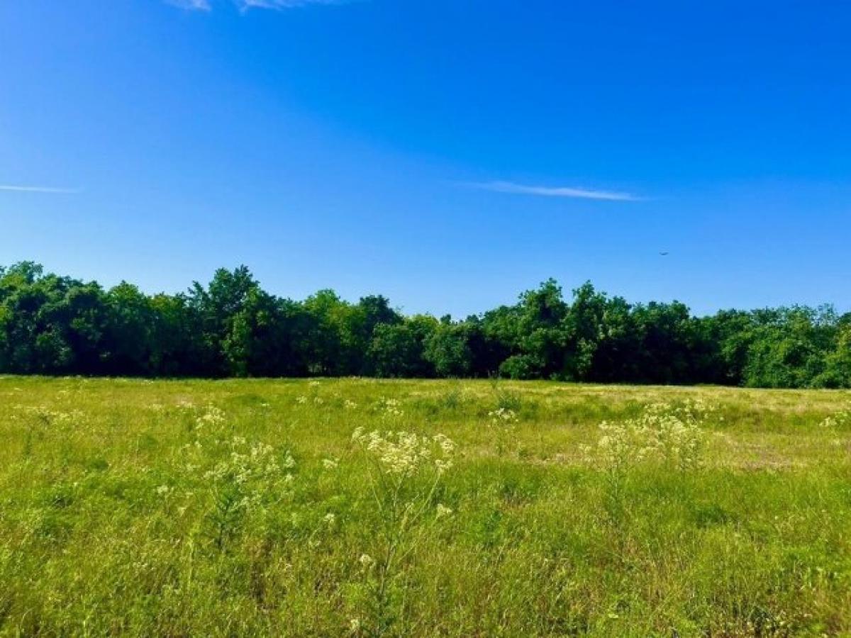 Picture of Residential Land For Sale in Poolville, Texas, United States