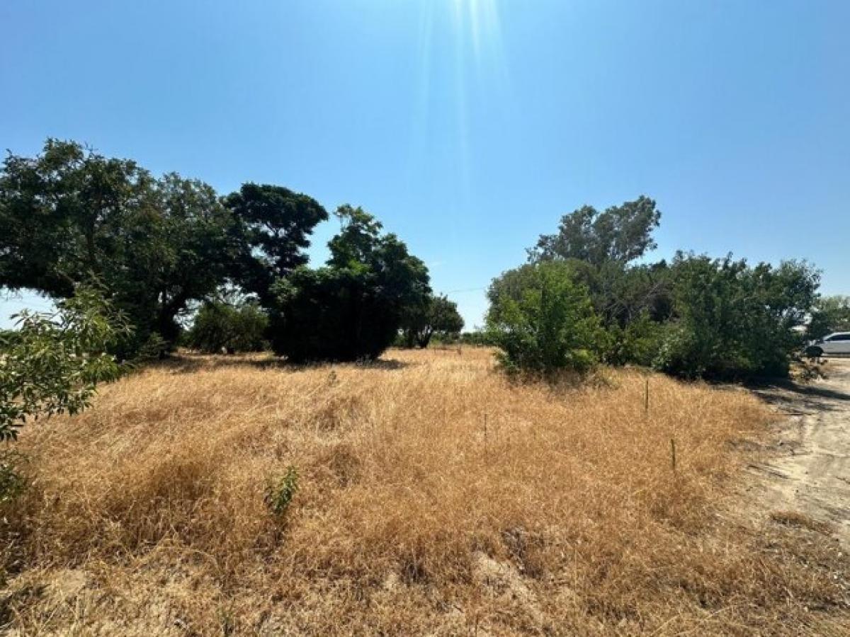 Picture of Residential Land For Sale in Chowchilla, California, United States