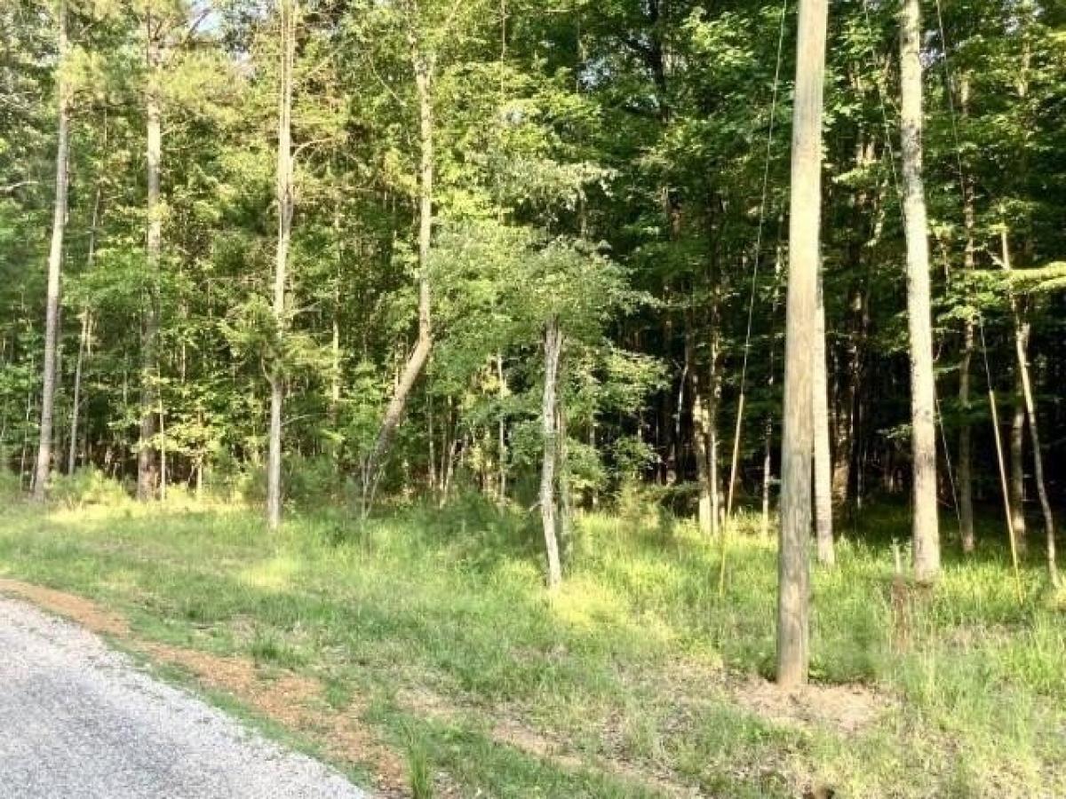 Picture of Residential Land For Sale in Counce, Tennessee, United States