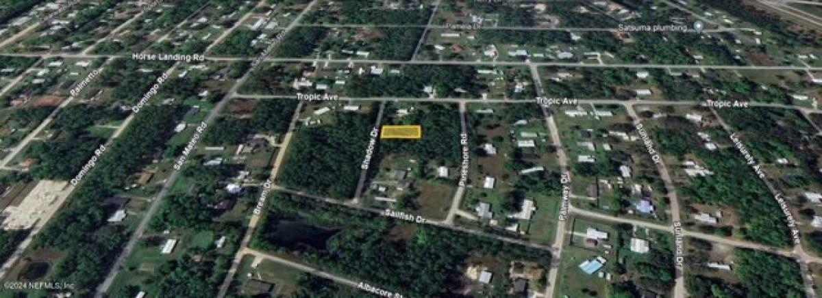 Picture of Residential Land For Sale in Satsuma, Florida, United States