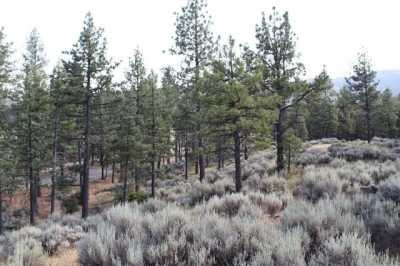 Residential Land For Sale in Mountain Center, California