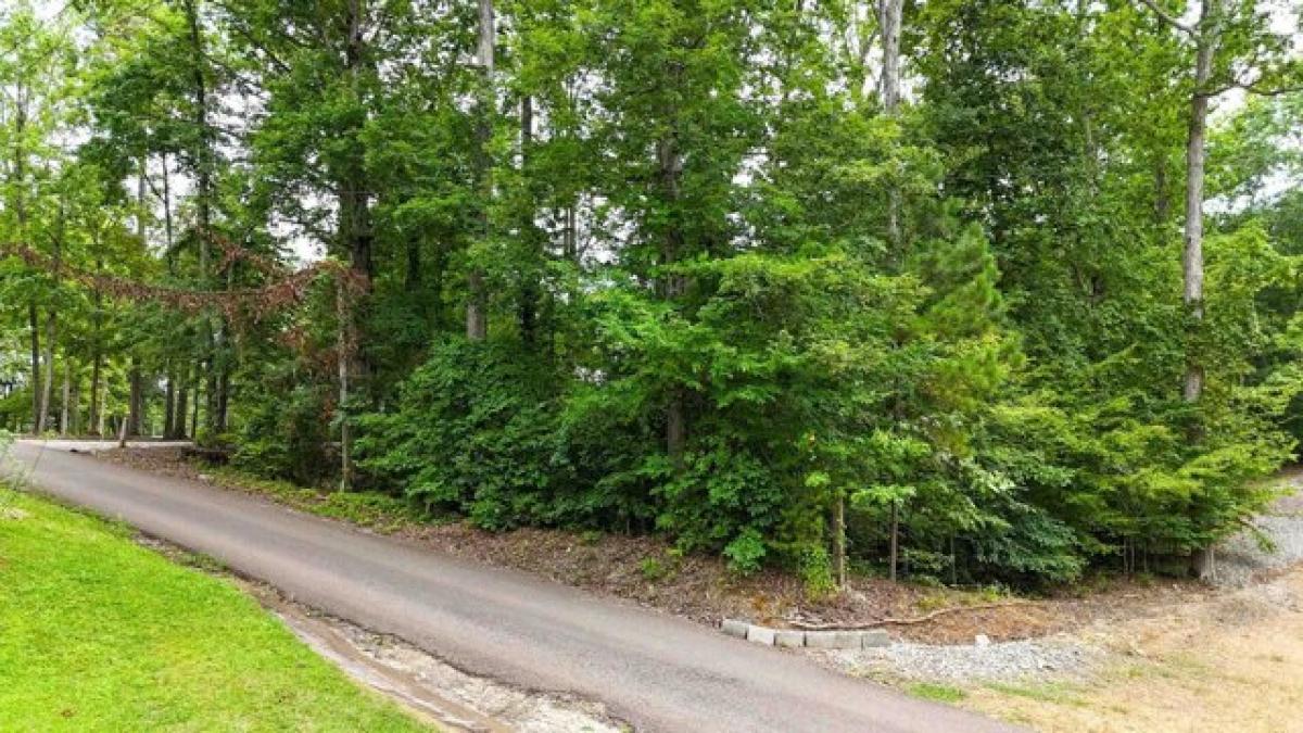 Picture of Residential Land For Sale in Counce, Tennessee, United States