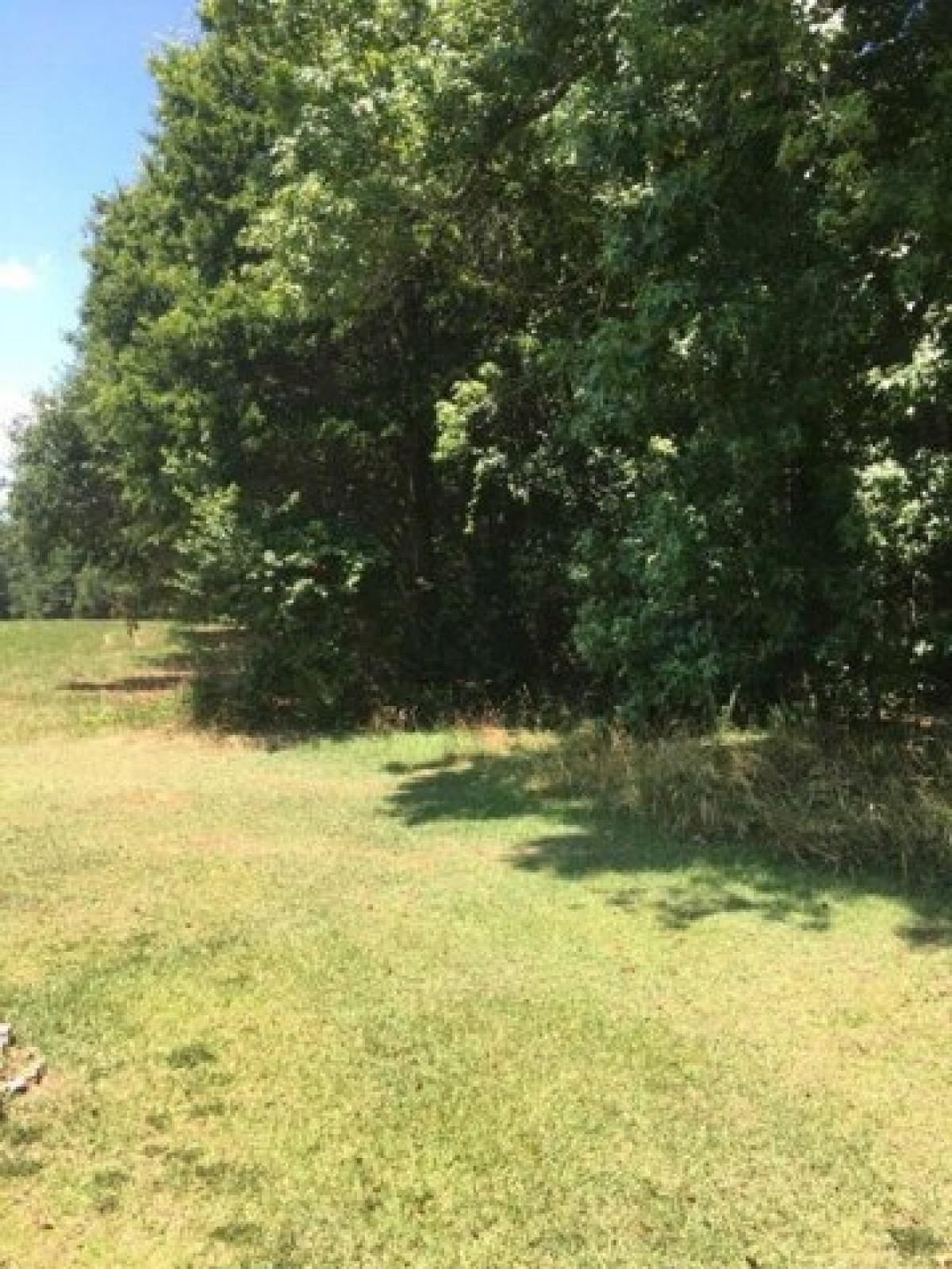 Picture of Residential Land For Sale in Belton, South Carolina, United States