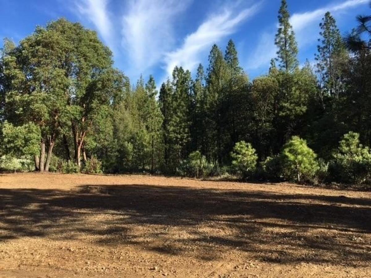 Picture of Residential Land For Sale in Nevada City, California, United States