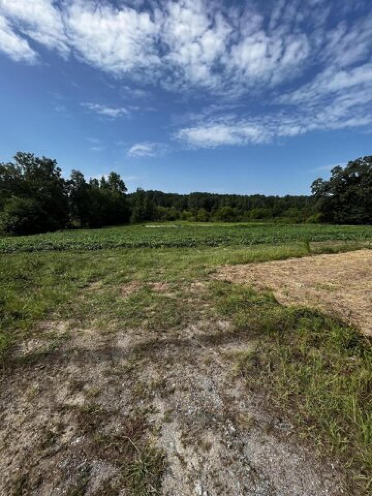 Picture of Residential Land For Sale in Dearing, Georgia, United States