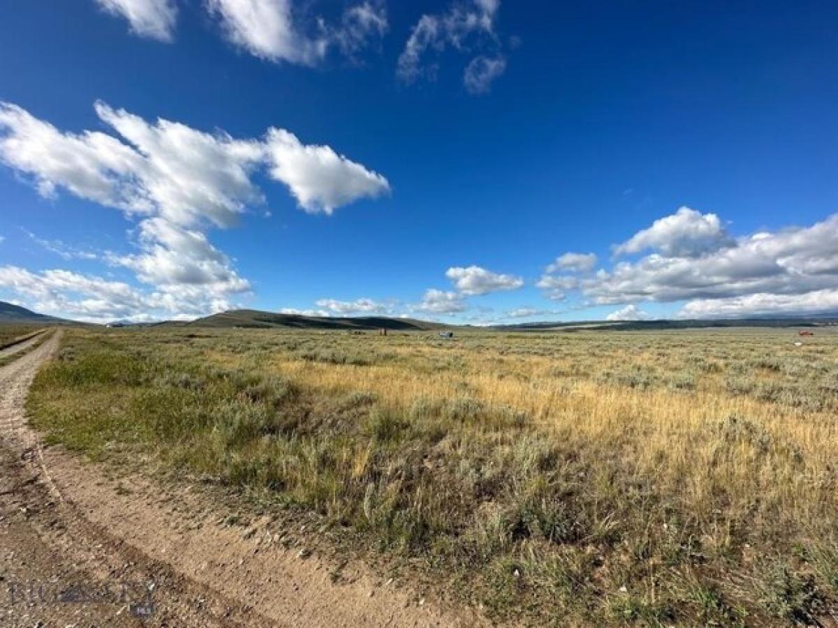 Picture of Residential Land For Sale in Cameron, Montana, United States