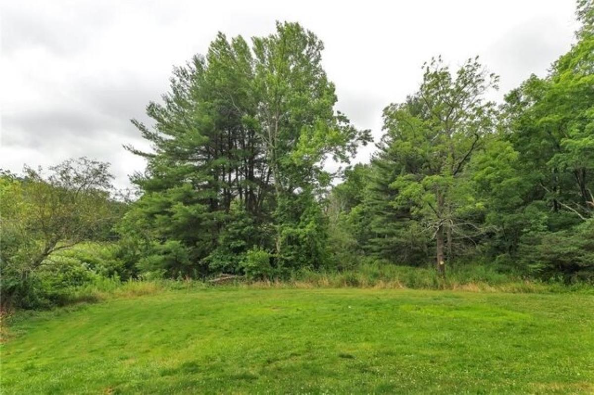 Picture of Residential Land For Sale in Shelocta, Pennsylvania, United States