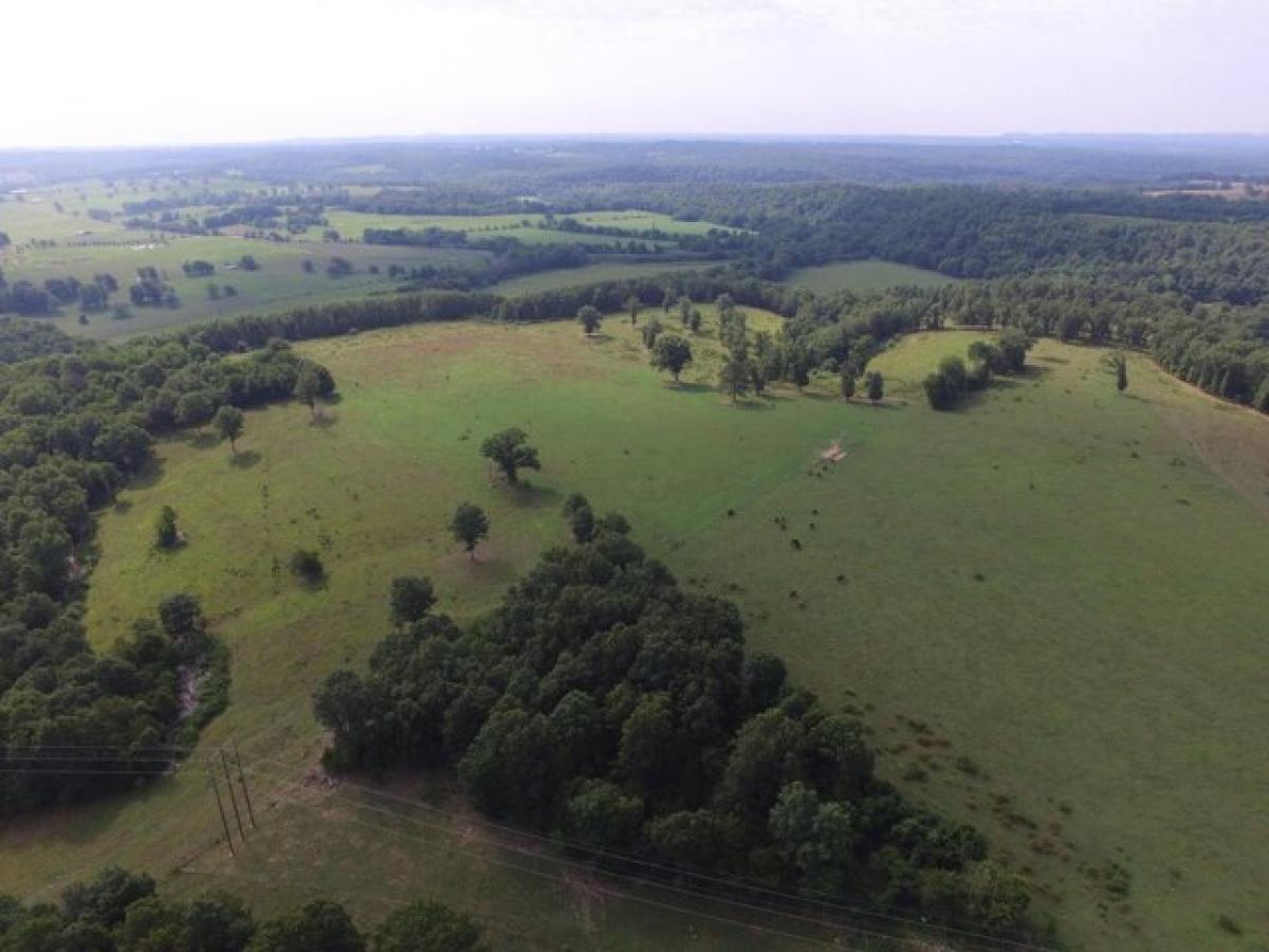 Picture of Residential Land For Sale in Ava, Missouri, United States