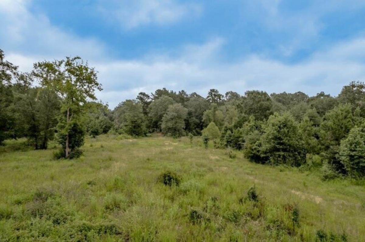 Picture of Residential Land For Sale in Lufkin, Texas, United States