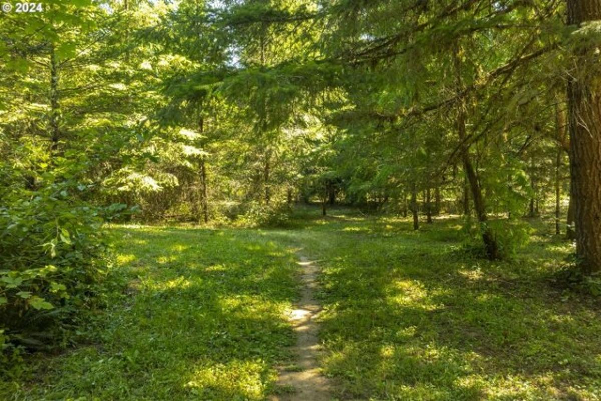 Picture of Residential Land For Sale in Newberg, Oregon, United States