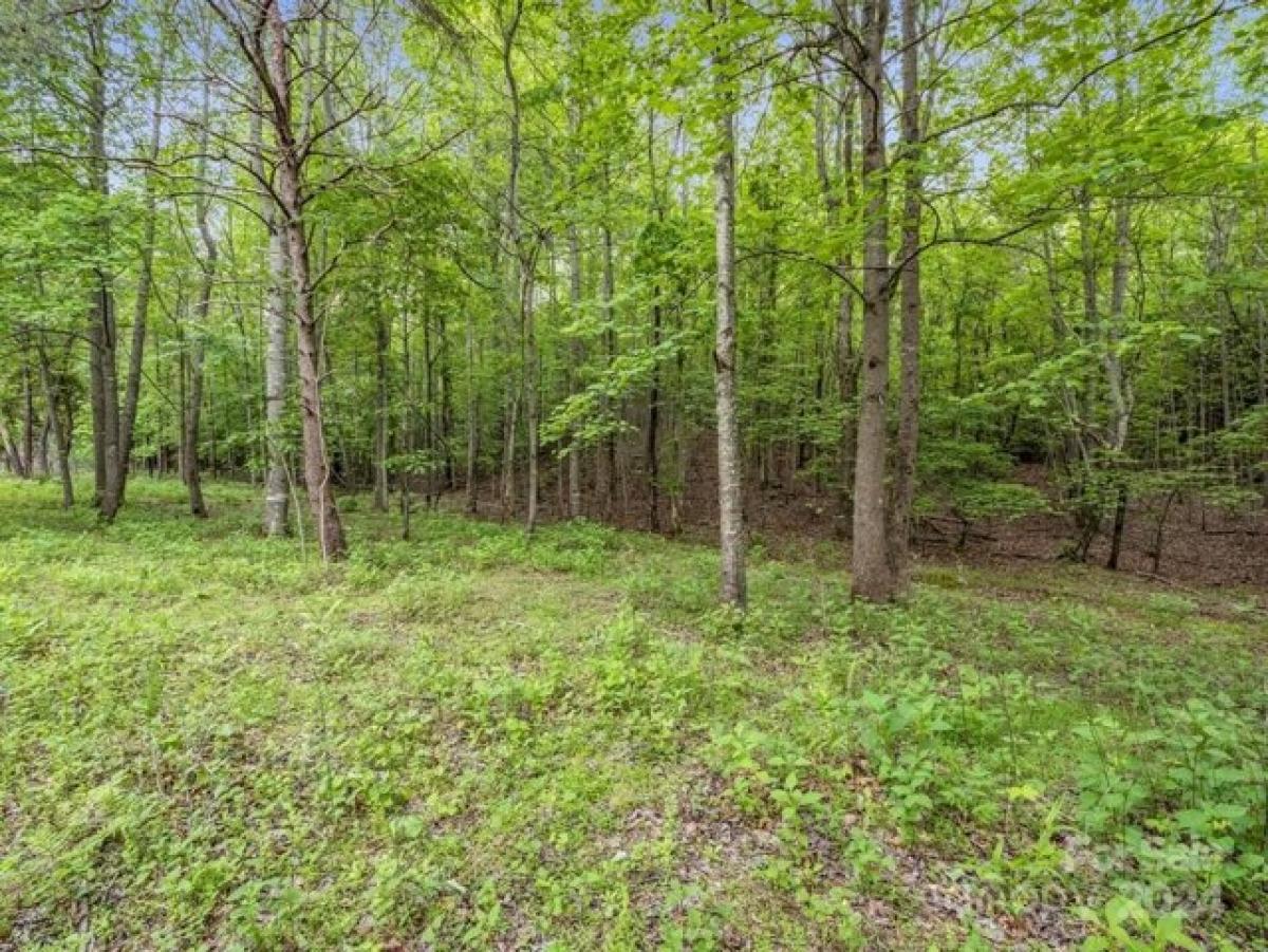 Picture of Residential Land For Sale in Mill Spring, North Carolina, United States