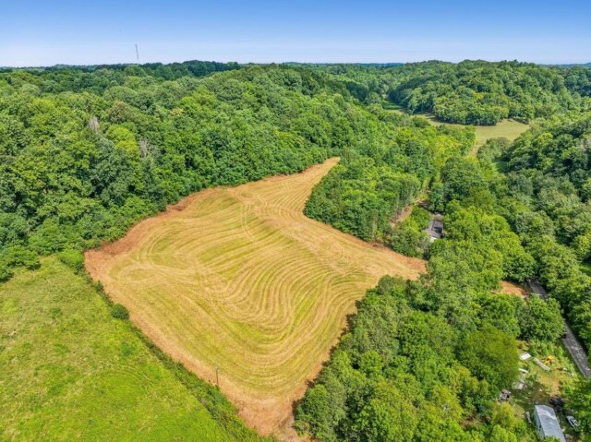 Picture of Residential Land For Sale in Lynnville, Tennessee, United States