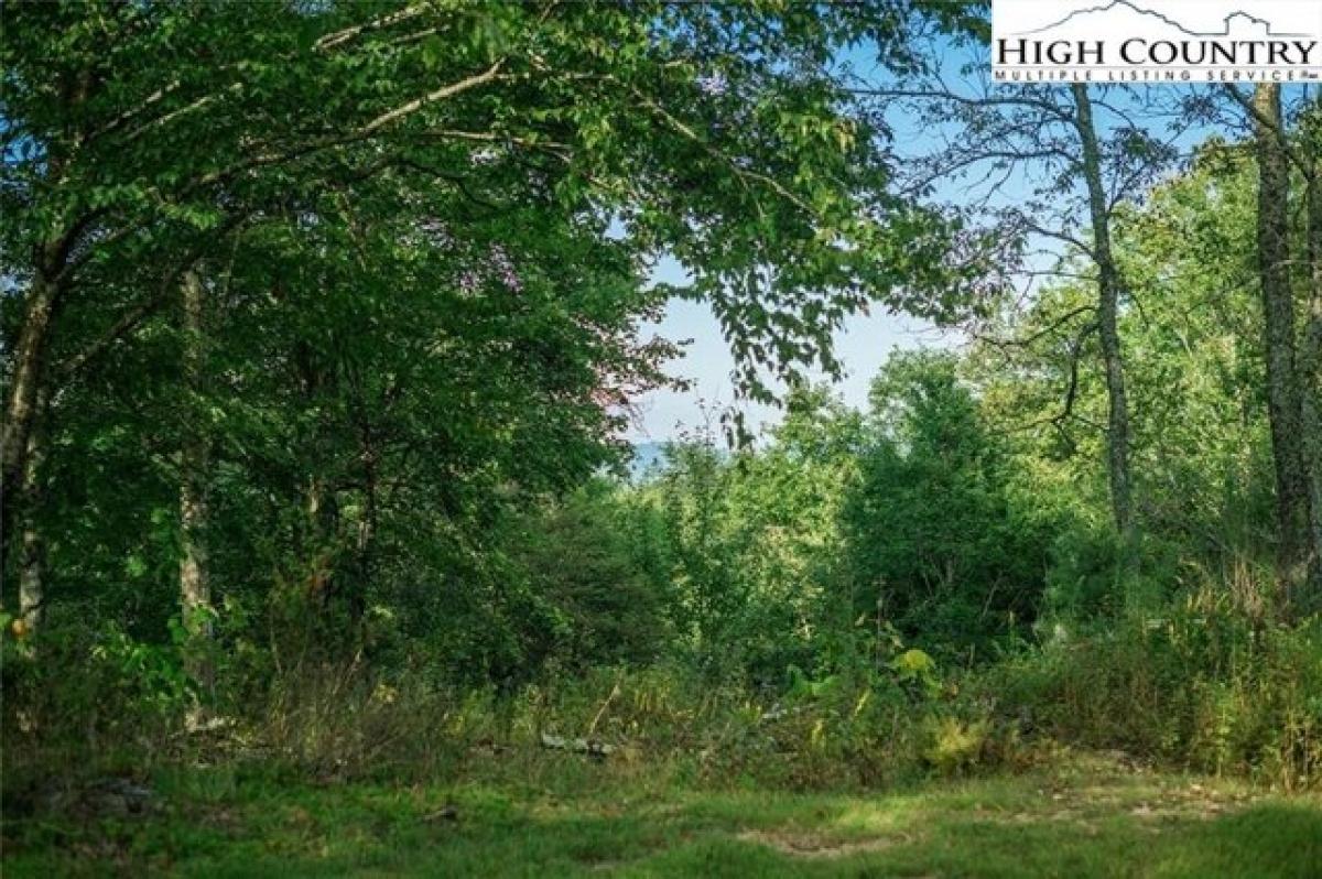 Picture of Residential Land For Sale in Banner Elk, North Carolina, United States