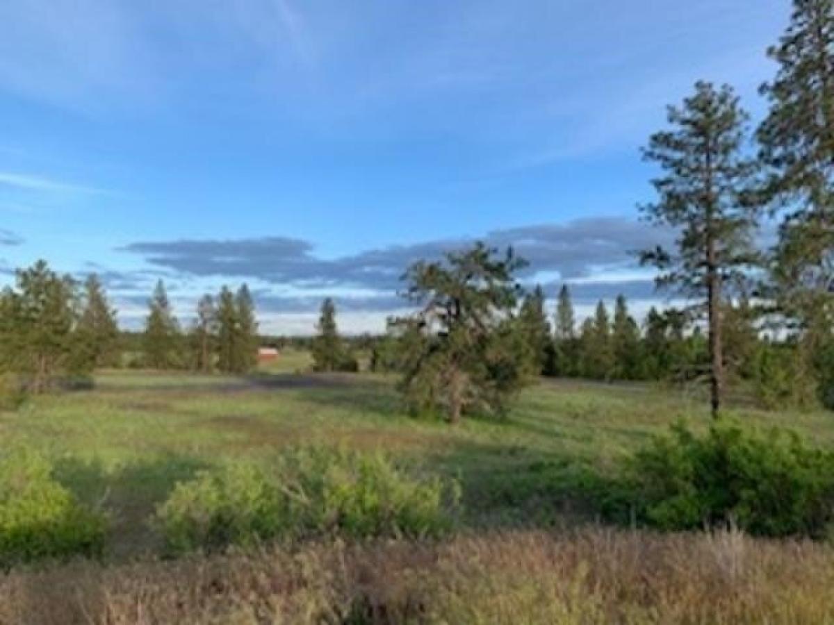 Picture of Residential Land For Sale in Spangle, Washington, United States