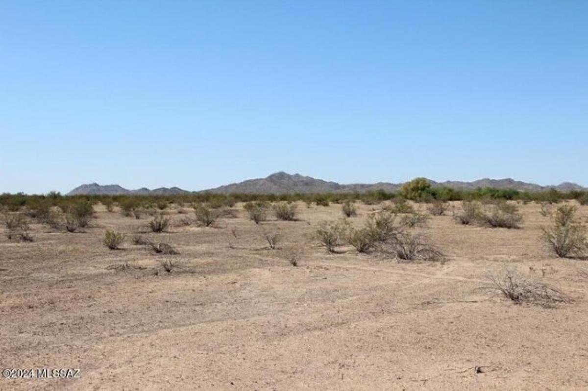 Picture of Residential Land For Sale in Casa Grande, Arizona, United States