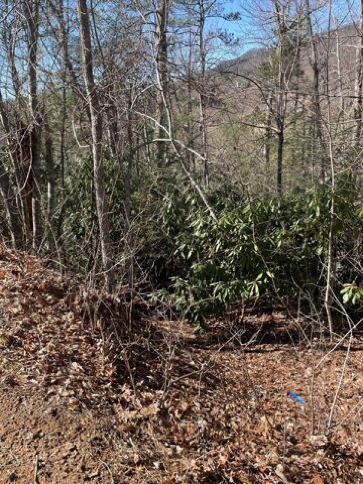 Picture of Residential Land For Sale in Gatlinburg, Tennessee, United States