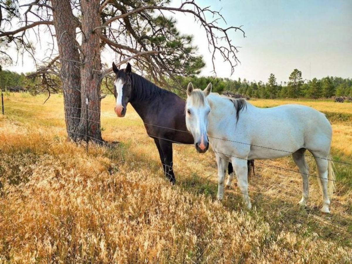 Picture of Home For Sale in Chadron, Nebraska, United States