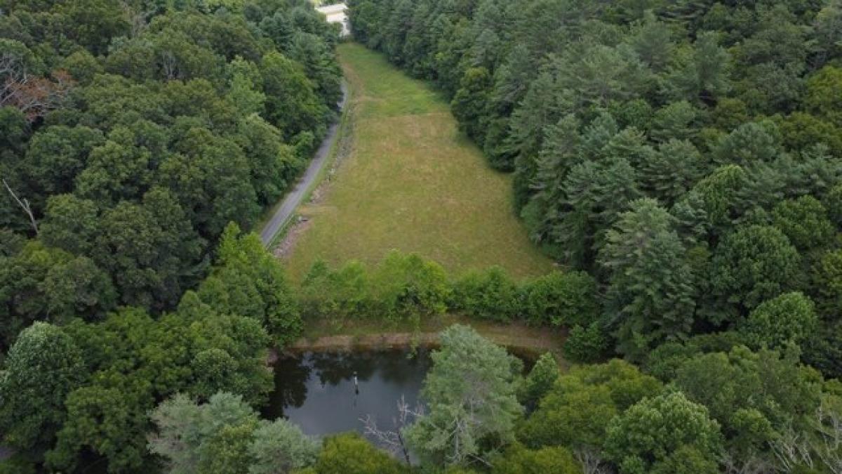 Picture of Residential Land For Sale in Independence, Virginia, United States