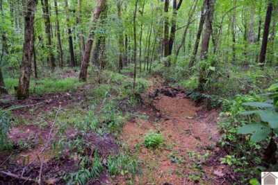 Residential Land For Sale in New Concord, Kentucky