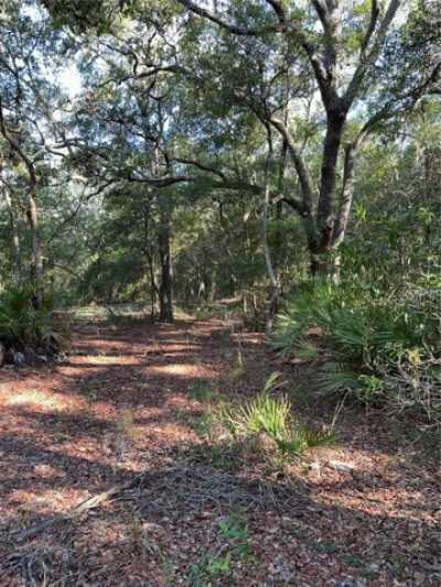 Residential Land For Sale in Bronson, Florida