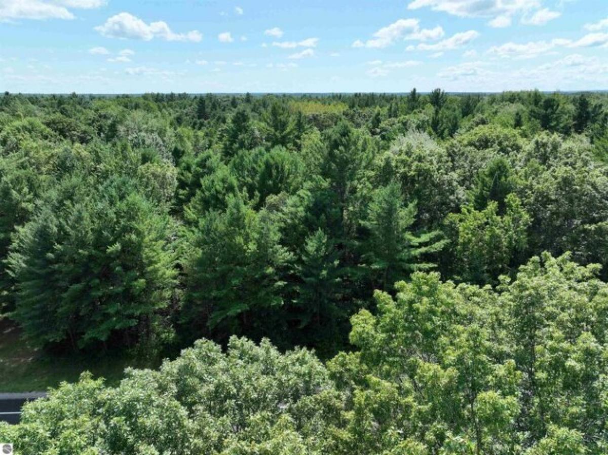 Picture of Residential Land For Sale in Lake, Michigan, United States