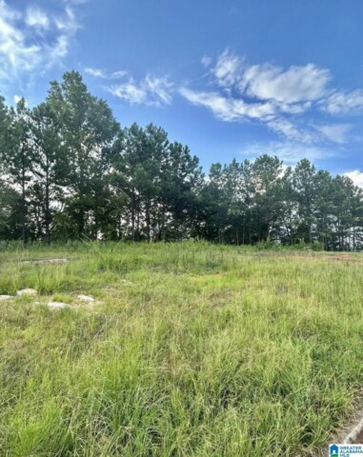 Picture of Residential Land For Sale in Oxford, Alabama, United States