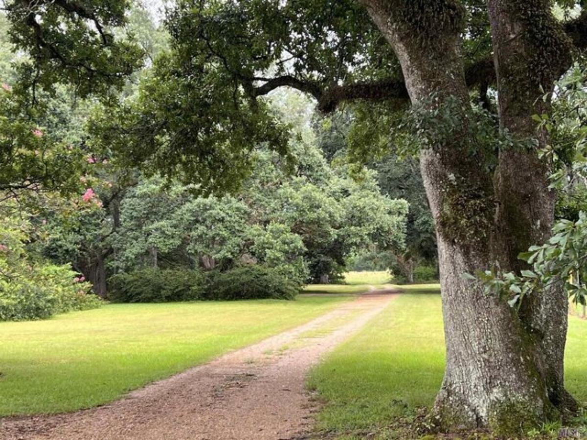 Picture of Home For Sale in Saint Francisville, Louisiana, United States