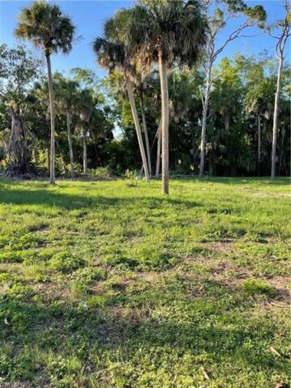 Picture of Residential Land For Sale in Bonita Springs, Florida, United States