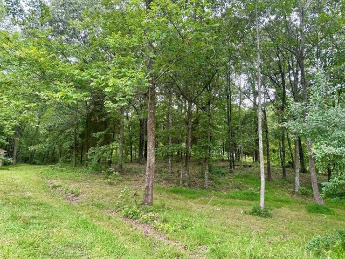 Picture of Residential Land For Sale in Hanson, Kentucky, United States