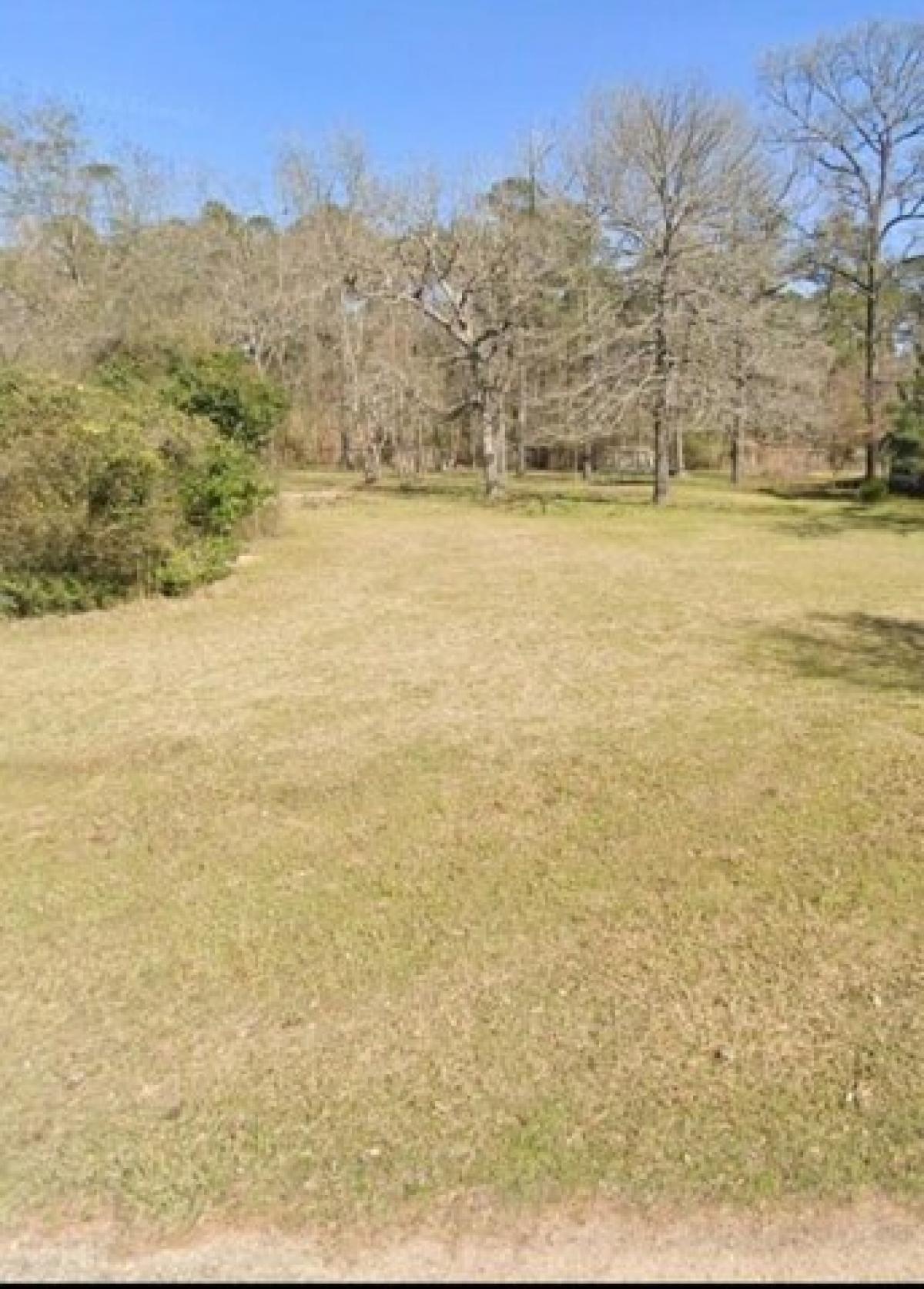 Picture of Residential Land For Sale in Magnolia, Texas, United States