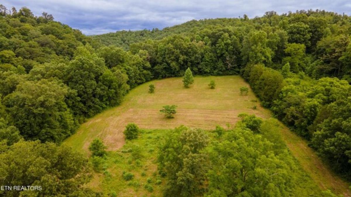 Picture of Residential Land For Sale in Maynardville, Tennessee, United States