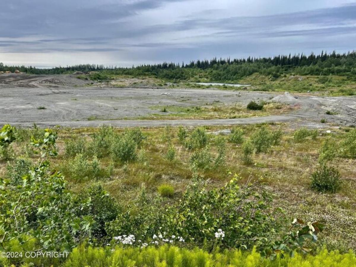 Picture of Residential Land For Sale in Anchor Point, Alaska, United States