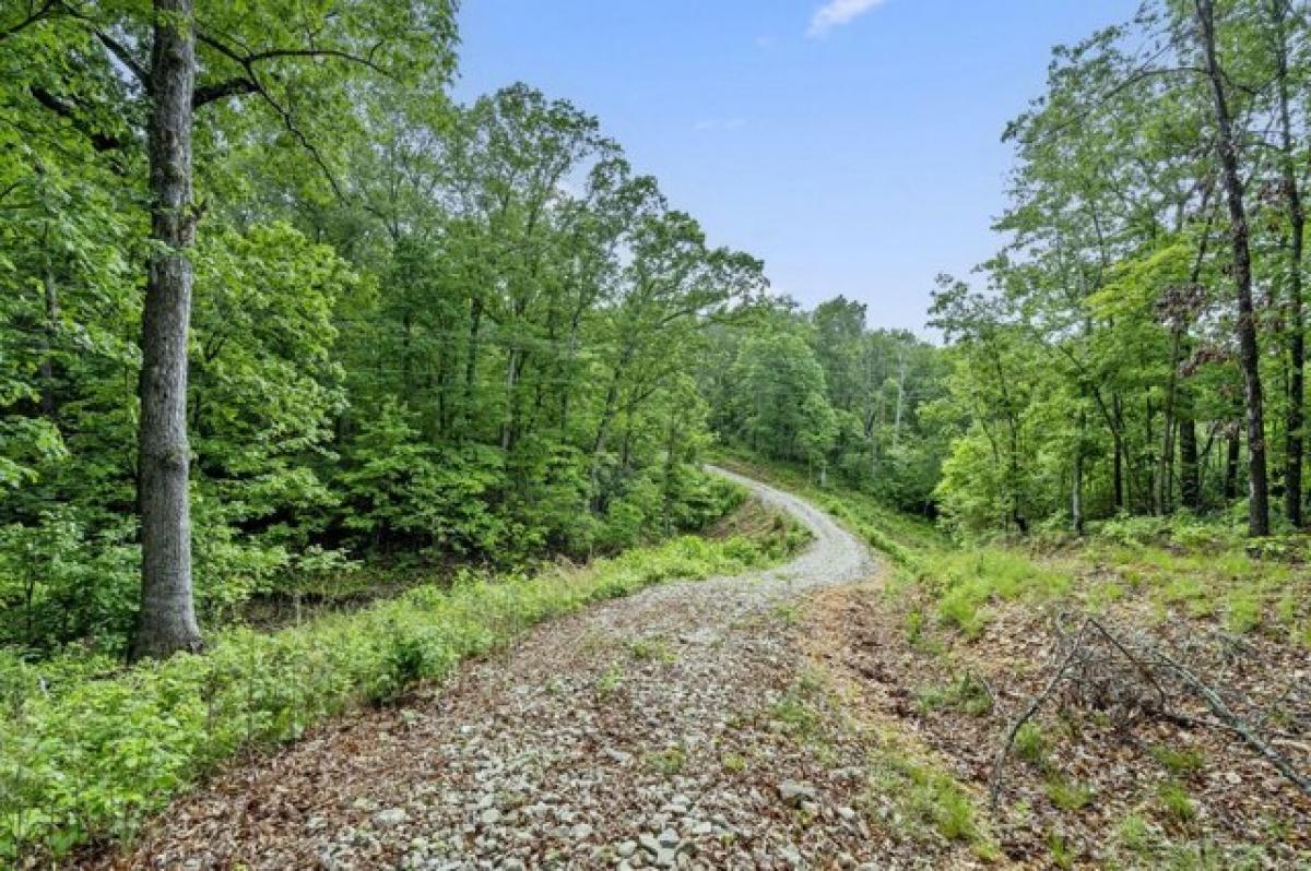 Picture of Residential Land For Sale in Rogersville, Missouri, United States