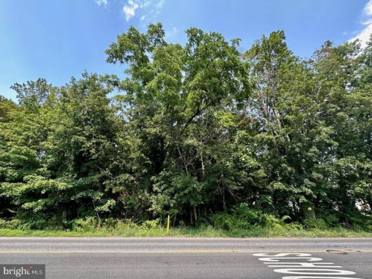 Picture of Residential Land For Sale in Vineland, New Jersey, United States