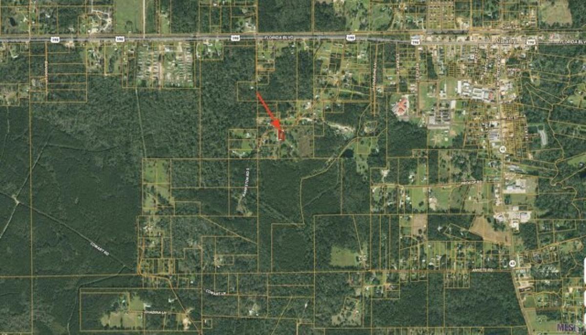 Picture of Residential Land For Sale in Albany, Louisiana, United States