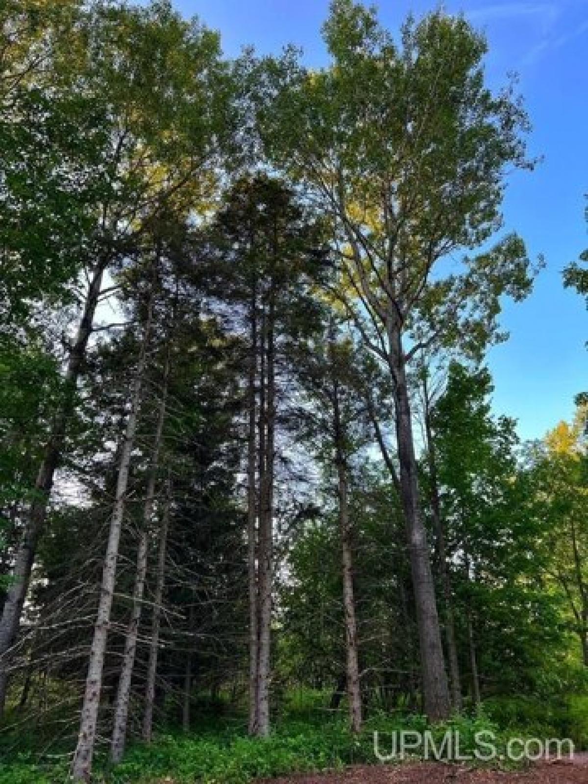 Picture of Residential Land For Sale in Baraga, Michigan, United States