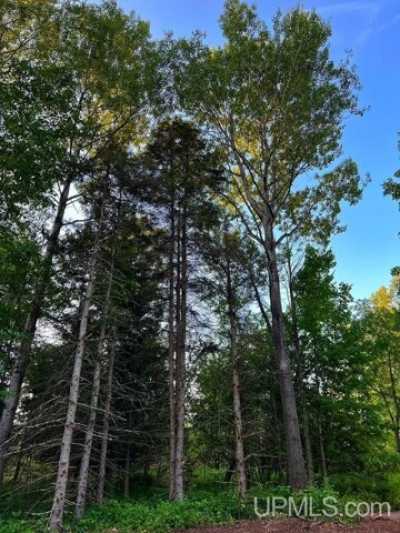 Residential Land For Sale in Baraga, Michigan