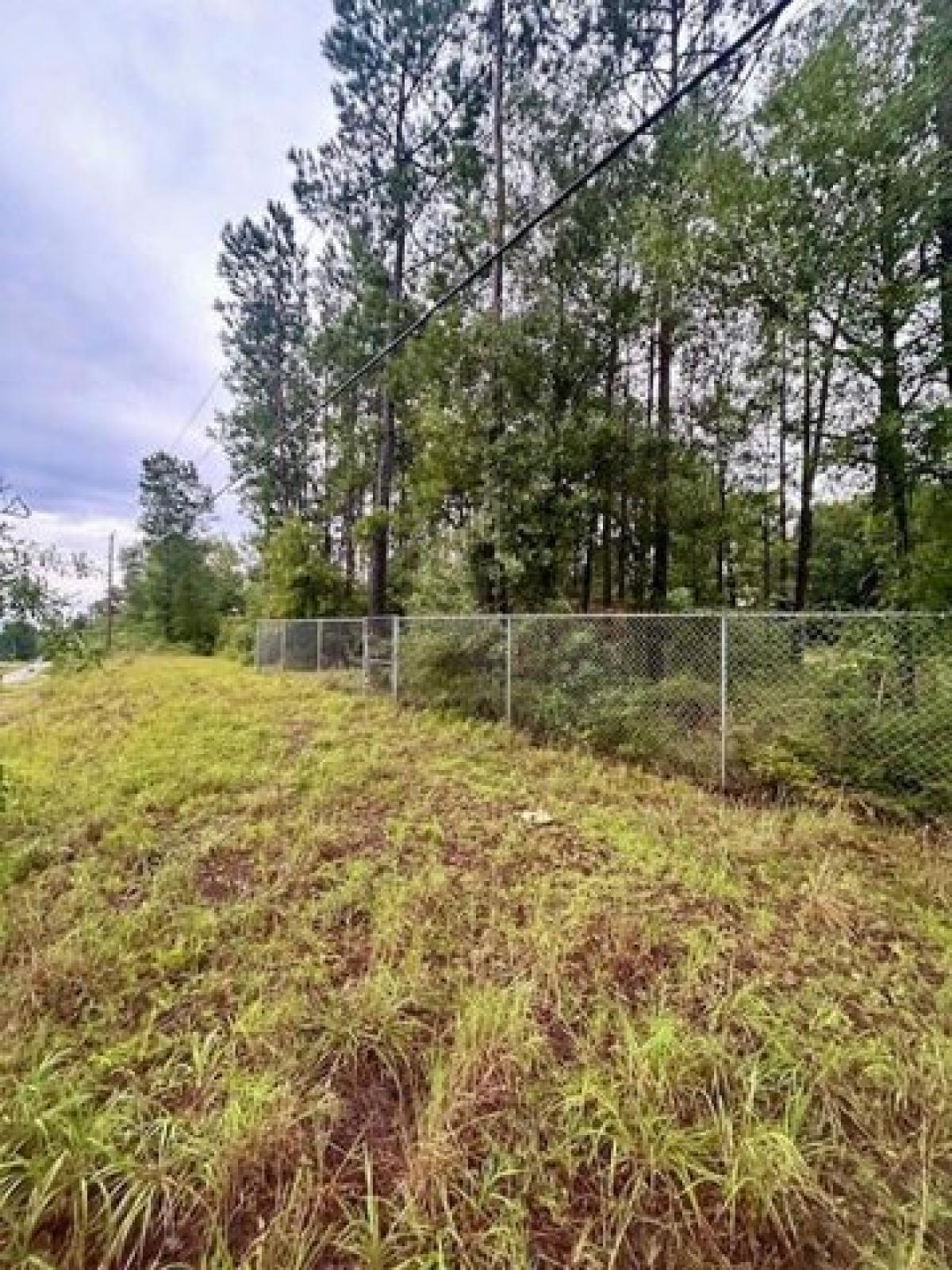 Picture of Residential Land For Sale in Carriere, Mississippi, United States