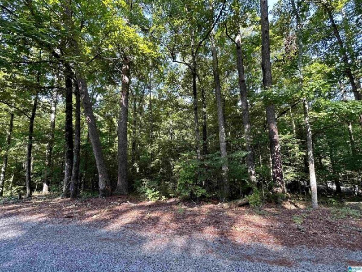 Picture of Residential Land For Rent in Talladega, Alabama, United States