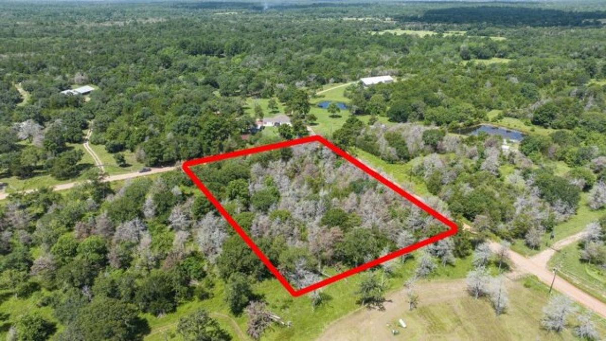 Picture of Residential Land For Sale in Cat Spring, Texas, United States