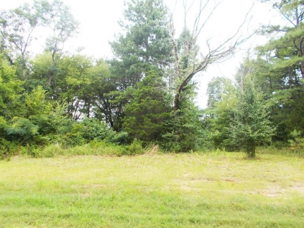 Picture of Residential Land For Sale in Camden, Tennessee, United States