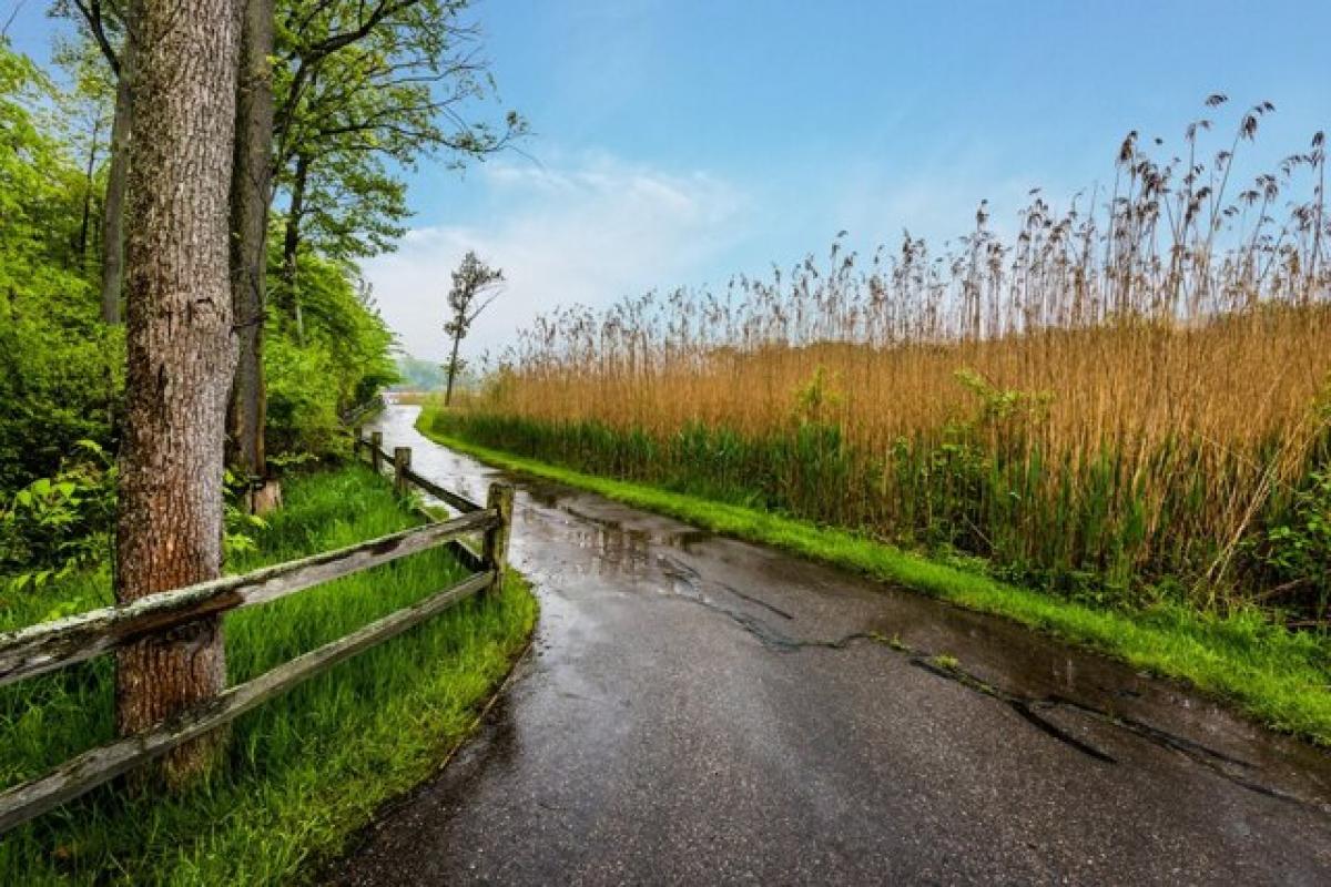 Picture of Residential Land For Sale in Watervliet, Michigan, United States