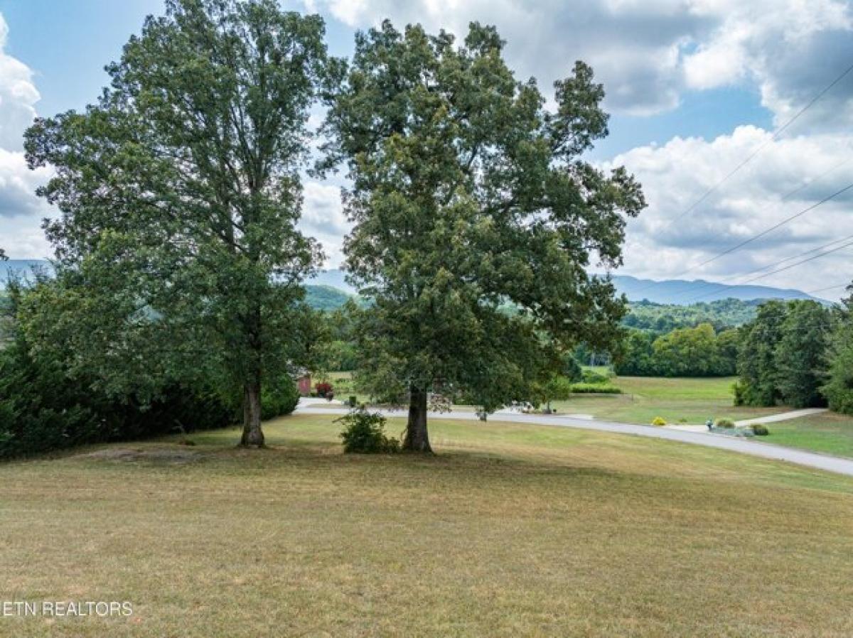 Picture of Residential Land For Sale in Maryville, Tennessee, United States