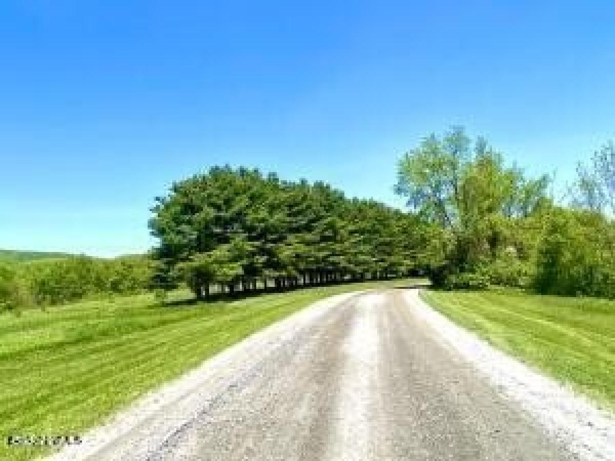 Picture of Residential Land For Sale in Lanesborough, Massachusetts, United States