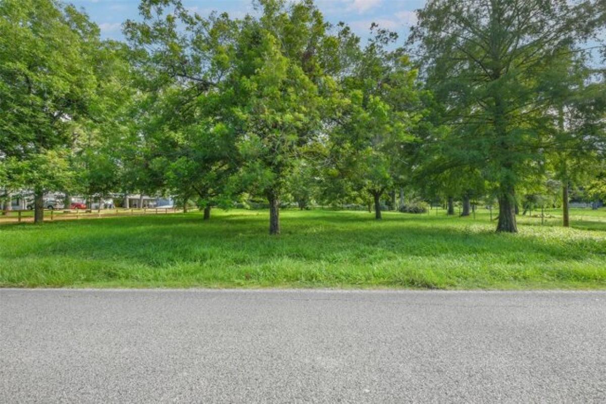 Picture of Residential Land For Sale in Alvin, Texas, United States