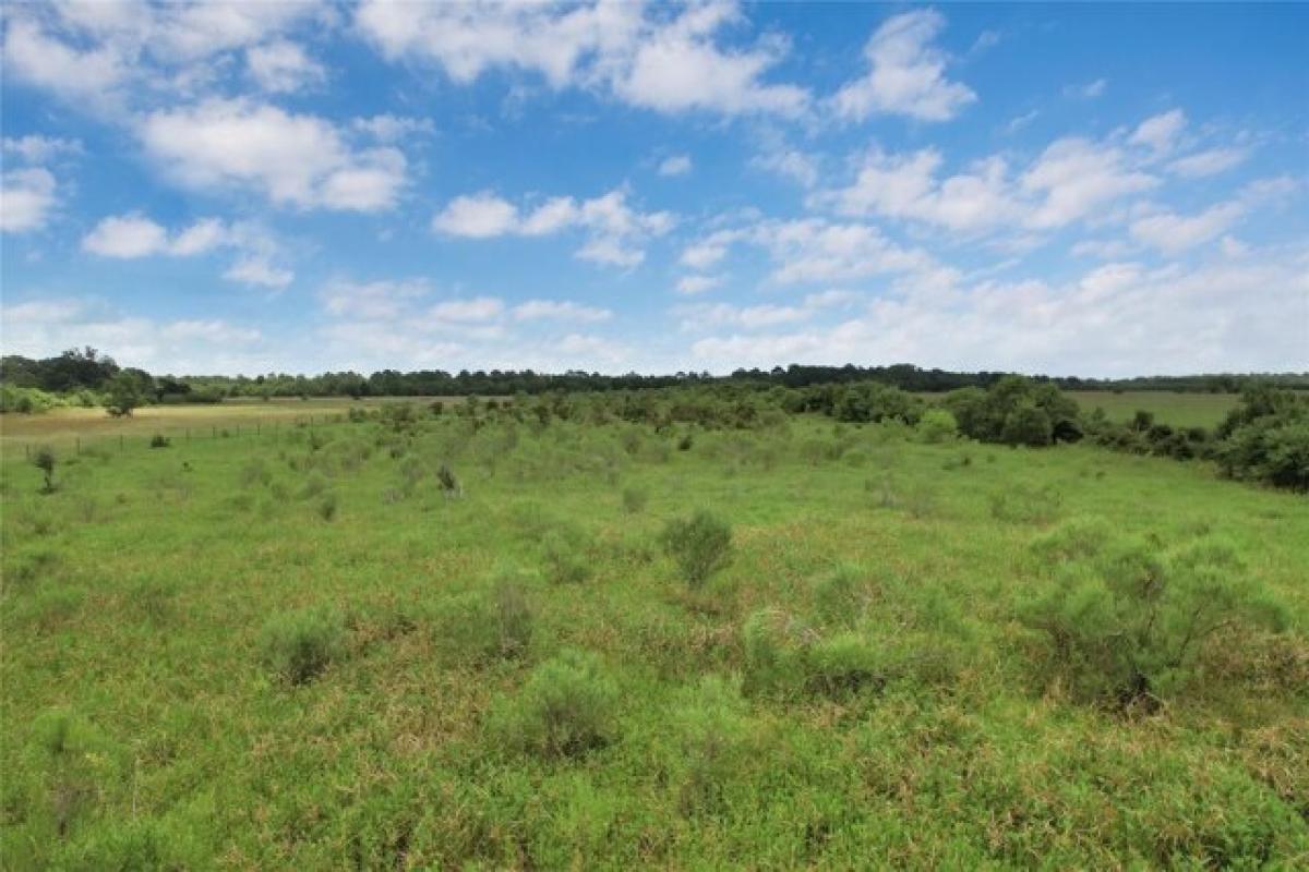 Picture of Residential Land For Sale in Anahuac, Texas, United States